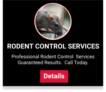 View out rodent control services