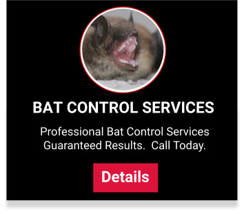 bat control services