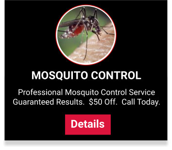 View our mosquito control services