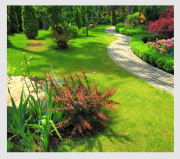 bucks county garden