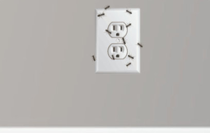 Ants In Outlets in Yardley, PA
