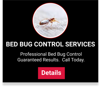 bed bug control services