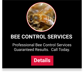 Bee Control Service Plans