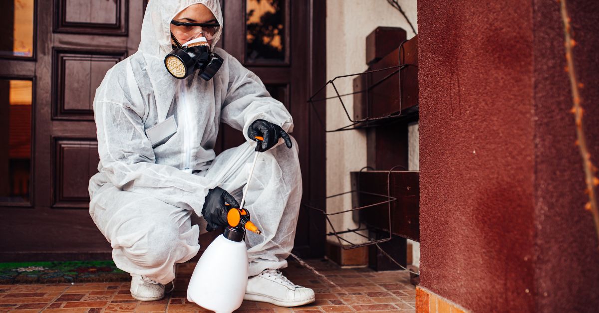 Pest control services