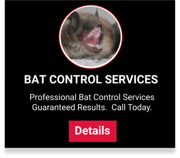 Bat Control Service 