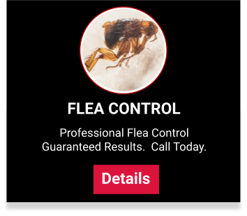 Pest Control Service Plans