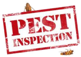 Pest Inspection