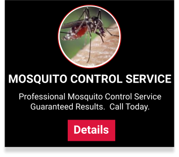 Mosquito Control Service Plans