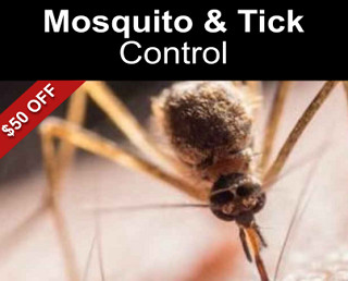 Mosquito and Tick Control $50 Off