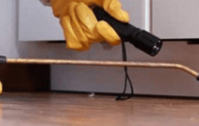 Pest Exterminator