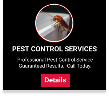 Pest Control Utah County