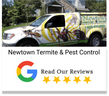 Newtown Pest Control Google Reviews