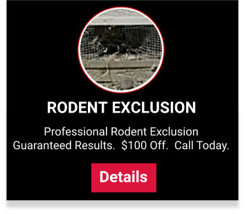 rodent exclusion service plans