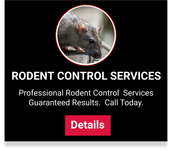 rodent control services