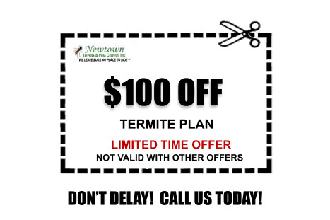 termite control coupon