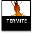 Termites