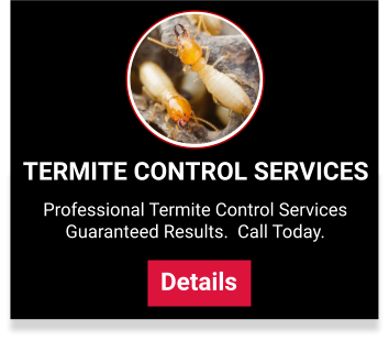 Termite Control Sercice Plans in Warminster
