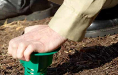 Termite Exterminator