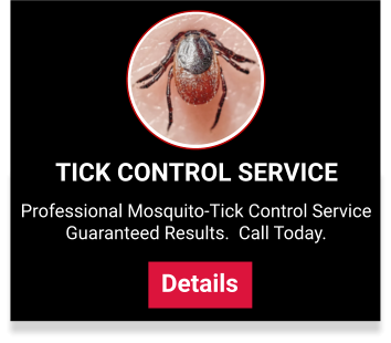 Pest Control Service Plans
